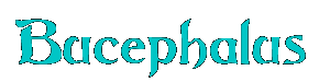 Bucephalus